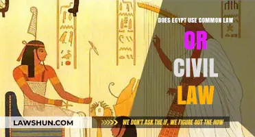 Egypt's Legal System: Civil or Common Law?