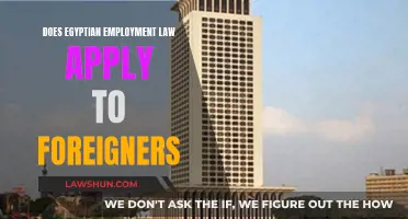 Egyptian Employment Law: Applicability to Foreign Workers