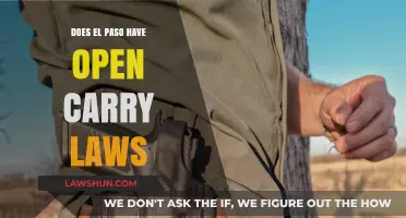 El Paso Open Carry Laws: What Residents and Visitors Need to Know