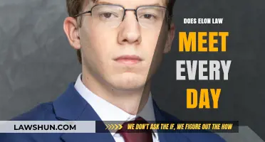 Daily Elon Law Encounters: Myth or Reality?