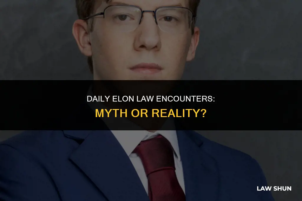 does elon law meet every day