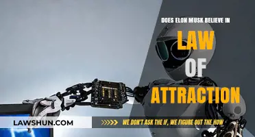 Elon Musk and the Law of Attraction: Myth or Reality?