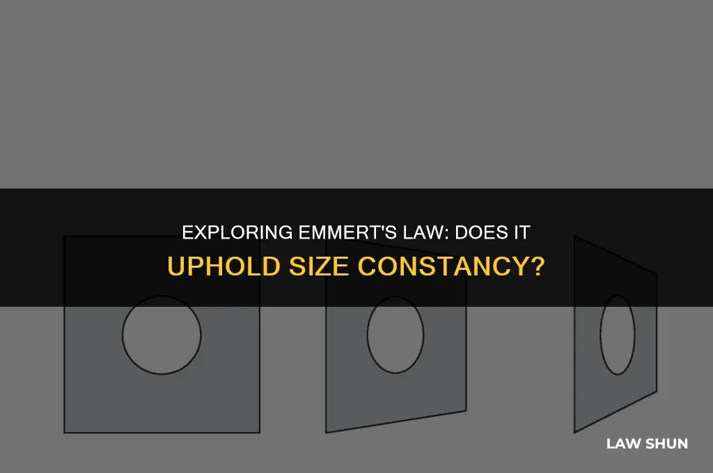 does emmerts law support size constancy