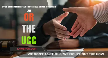 Employment Contracts: Common Law or UCC?