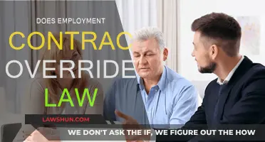 Employment Contracts: Legally Binding or Not?
