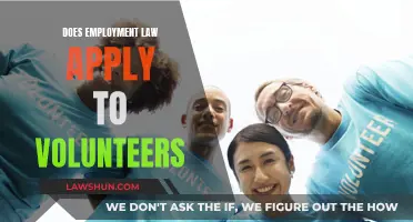 Volunteers and Employment Law: What's the Verdict?