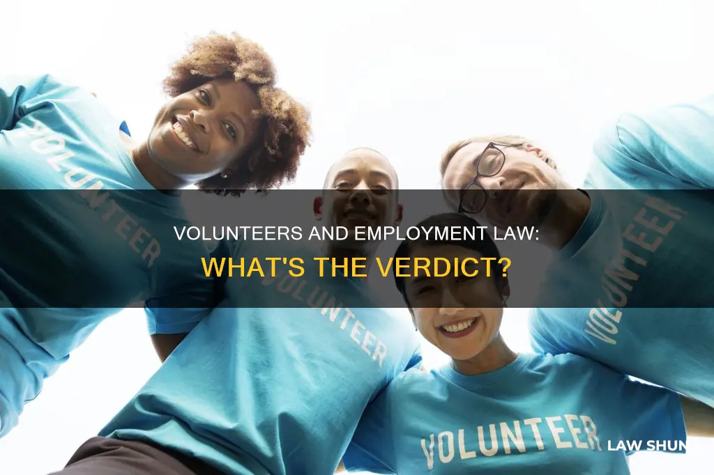 does employment law apply to volunteers