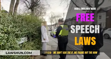Exploring the Boundaries of Free Speech in England
