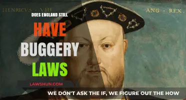 Exploring England's Legal Landscape: Buggery Laws in Modern Times