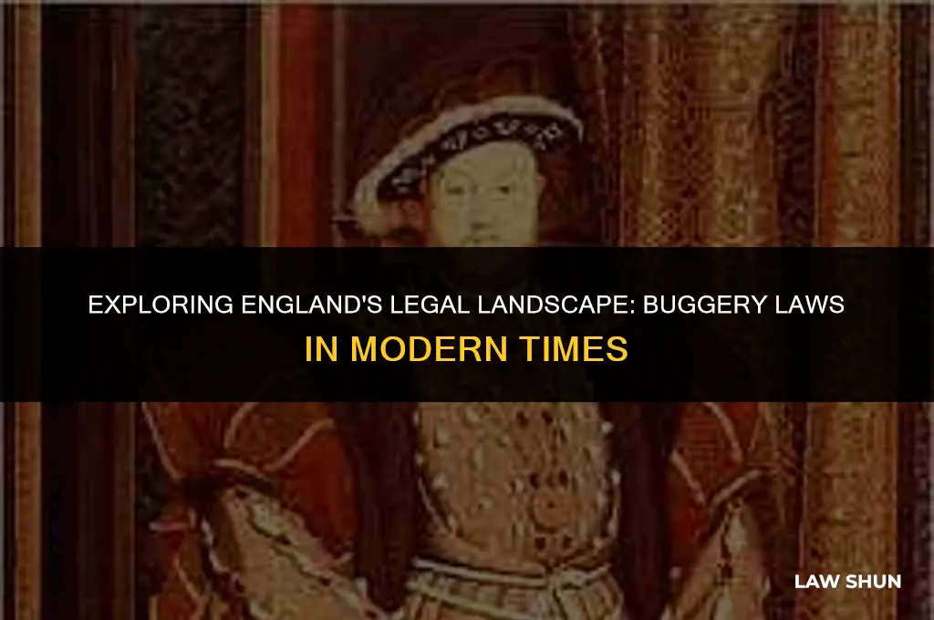 does england still have buggery laws