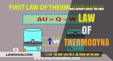 How Entropy Impacts the First Law of Thermodynamics