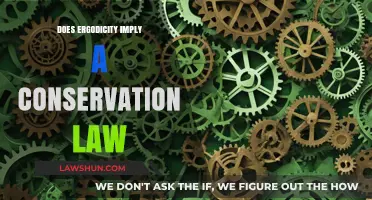 Ergodicity and Conservation Laws: Unraveling the Connection in Physics