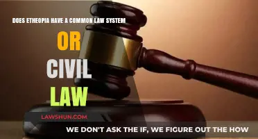 Ethiopia's Legal System: Civil or Common Law?