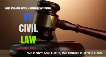 Ethiopia's Legal System: Civil or Common Law?
