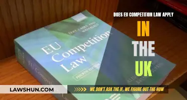 Competition Law: EU's Influence on the UK