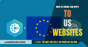 Cookie Laws: EU vs US Website Compliance