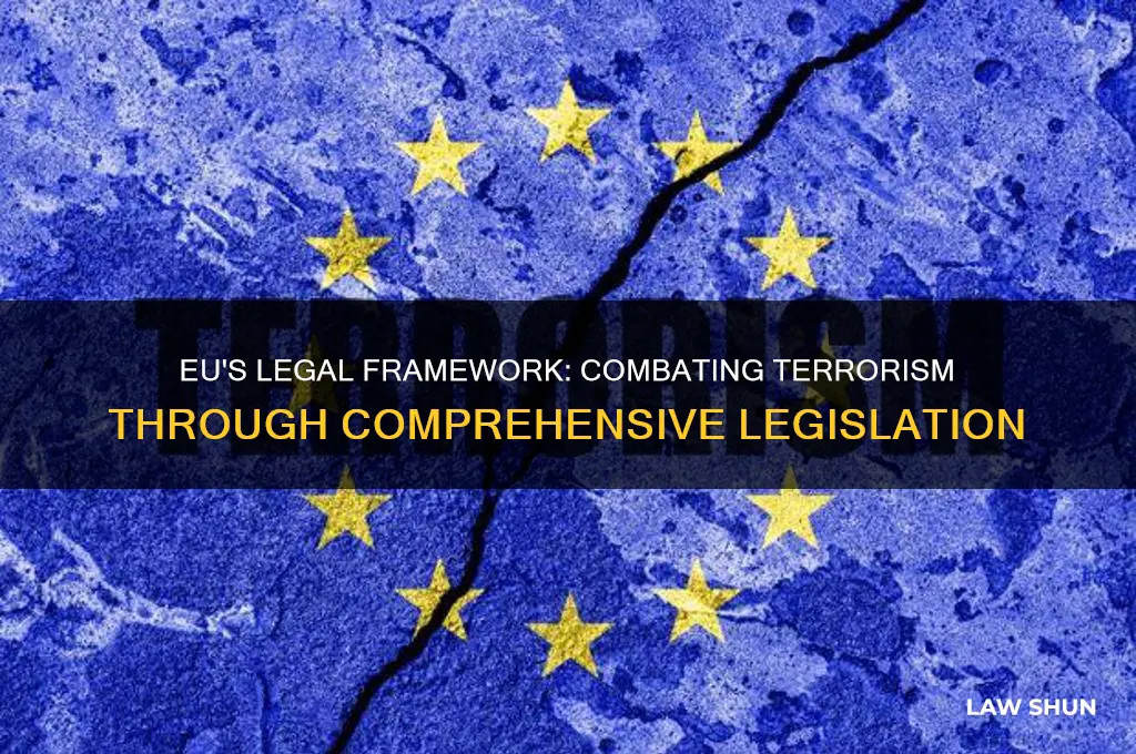 does eu have laws related to terrorism