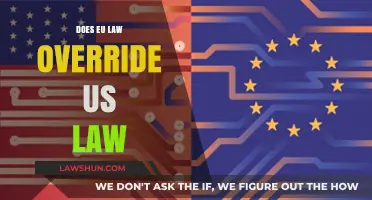 EU vs. US Law: Which Takes Precedence in International Affairs?