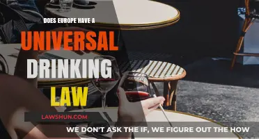 Exploring Europe's Drinking Laws: A Universal Standard?