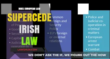 EU Law vs. Irish Law: Understanding the Hierarchy of Legislation