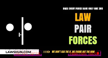Exploring Newton's Third Law: Do All Forces Have Unique Pairs?
