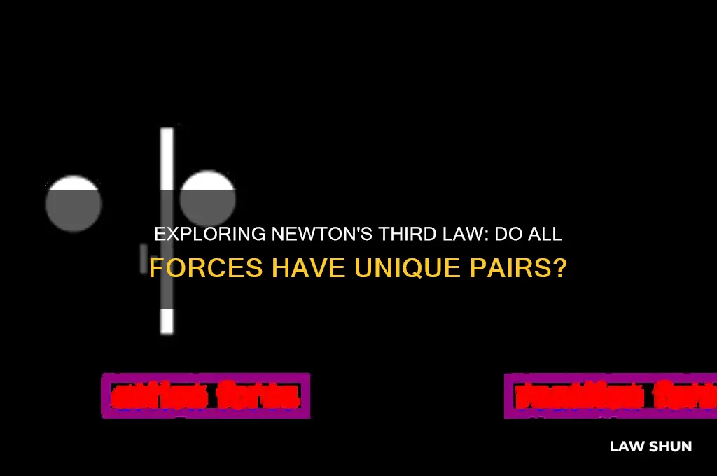 does every force have only one 3rd law pair forces