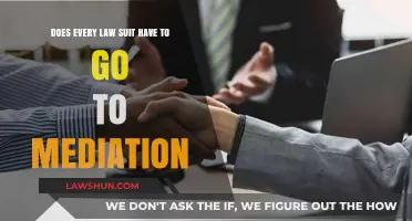 Mediation in Lawsuits: Is It Always a Necessary Step?