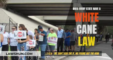 White Cane Laws: Are They Universal in the US?
