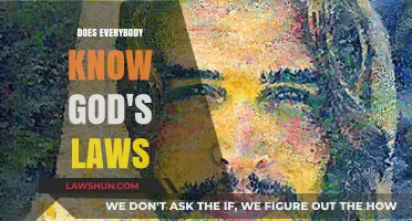 Exploring Divine Statutes: Universal Awareness of God's Laws