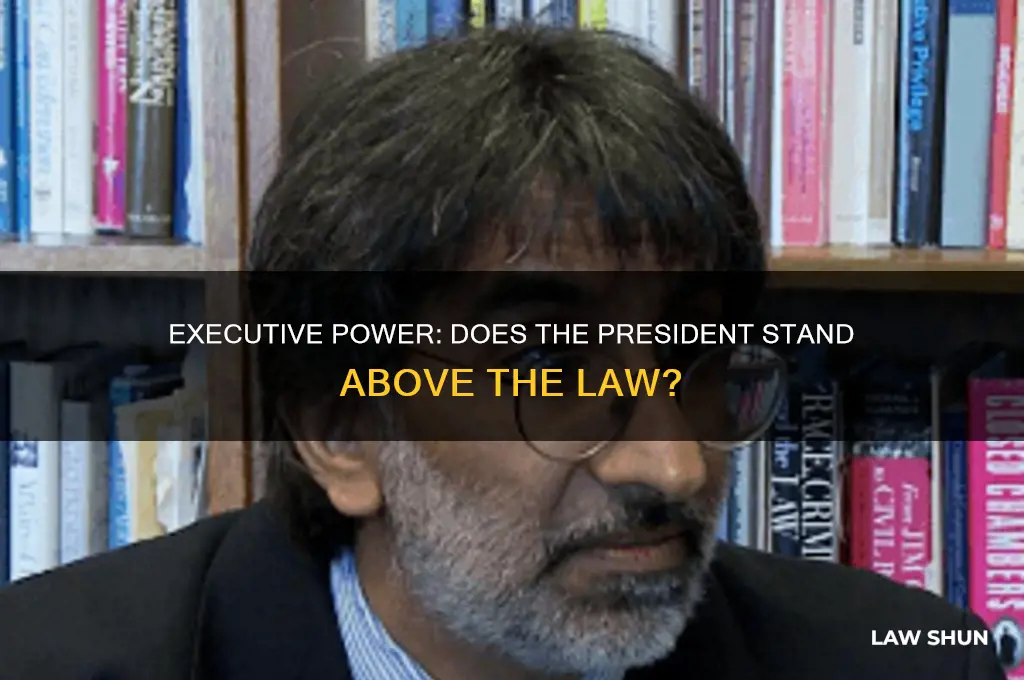 does executive power put president above the law