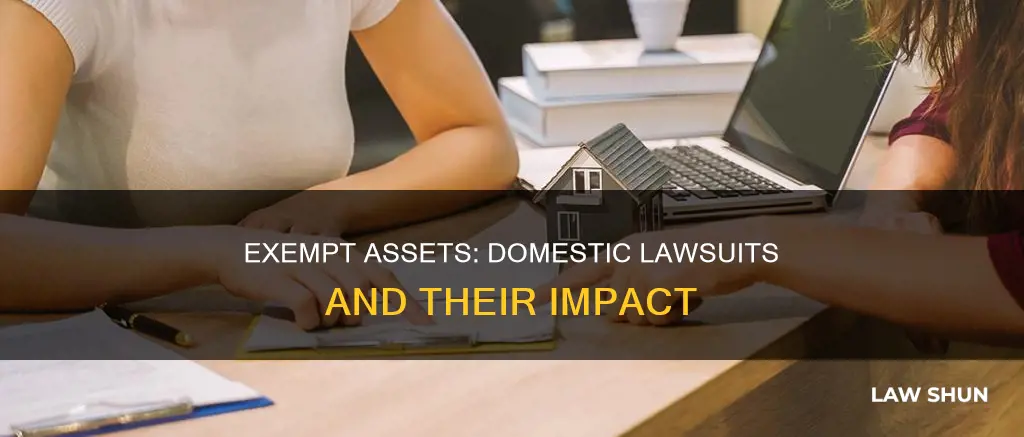 does exempt assets apply to domestic law suits