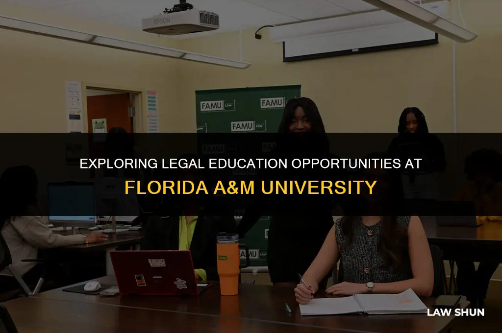 does famu have a law program