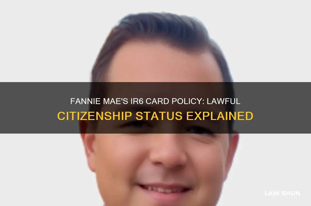 does fannie consider an ir6 card as a lawful citizen
