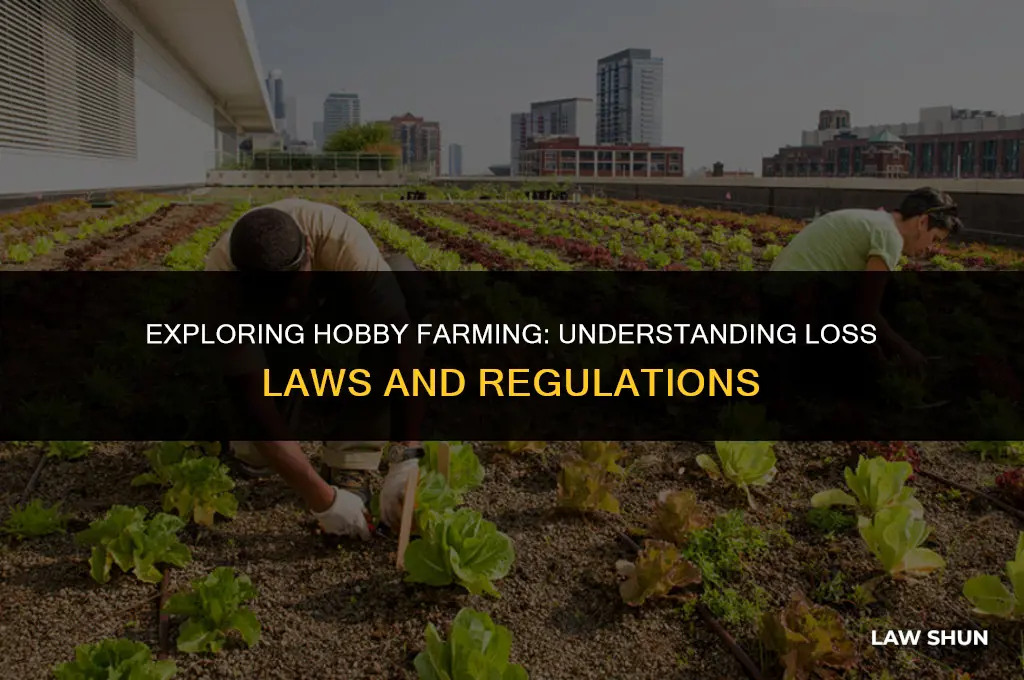 does farming have hobby loss laws