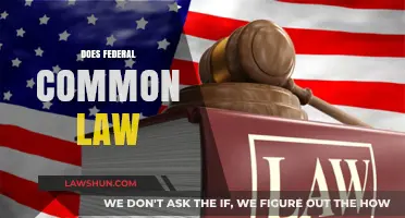Federal Common Law: Does it Exist?