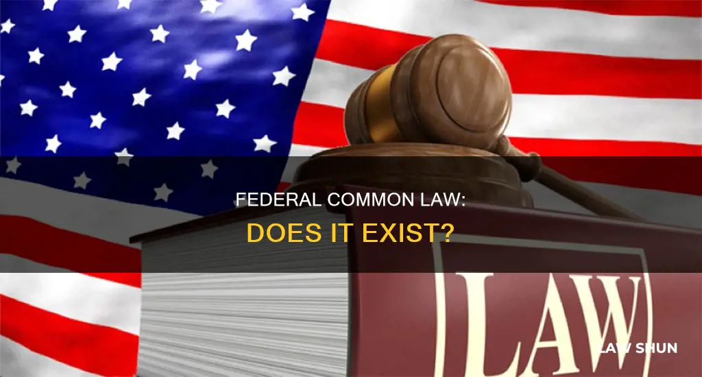 does federal common law