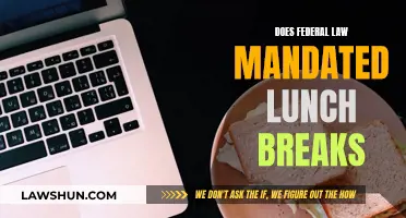 Federal Law and Lunch Breaks: What's Mandated?