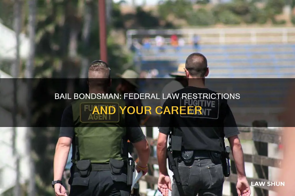 does federal law prohibit one from becoming a bail bondsman