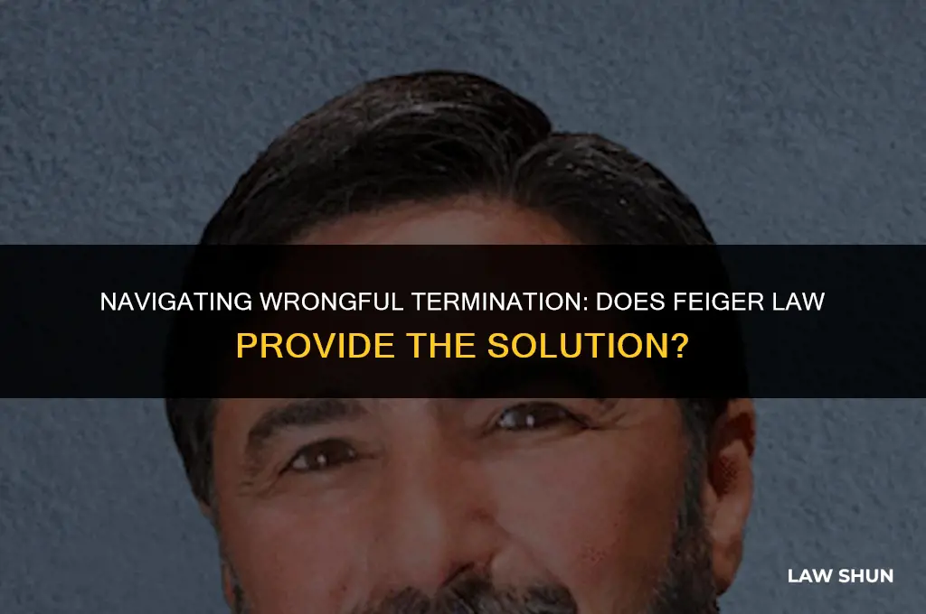 does feiger law handle wrongful termination