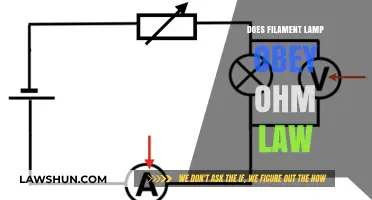 Exploring Ohm's Law: Does Your Filament Lamp Follow the Rules?