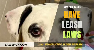 Findlay, Ohio Leash Laws: What Pet Owners Need to Know