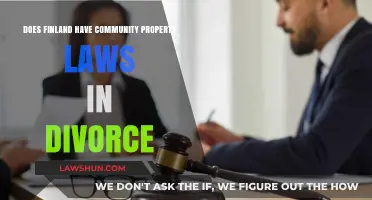 Finland's Divorce Laws: Understanding Community Property Rights and Division