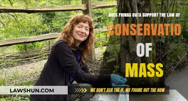 Fiona's Data: Validating the Law of Conservation of Mass?