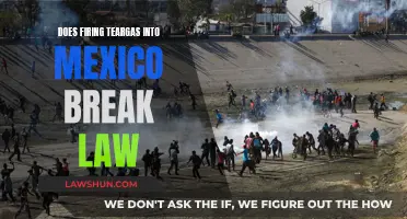 US Teargassing Mexico: Legal or Not?