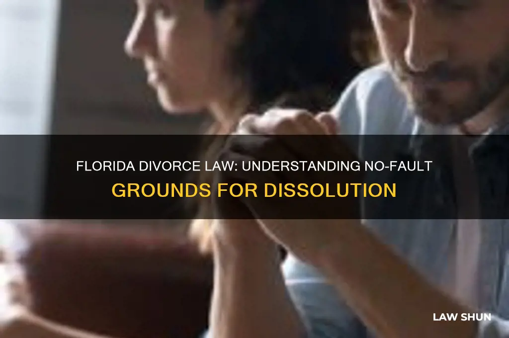 does fl divorce law have a no-fault reason for divorce