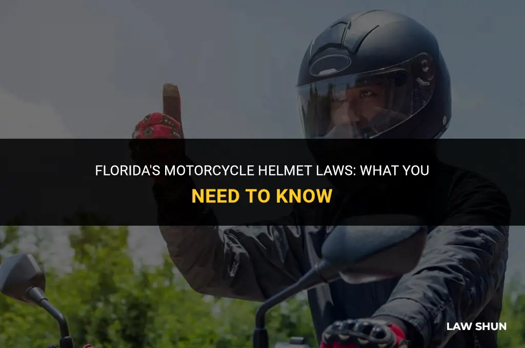 does fl have a helmet law
