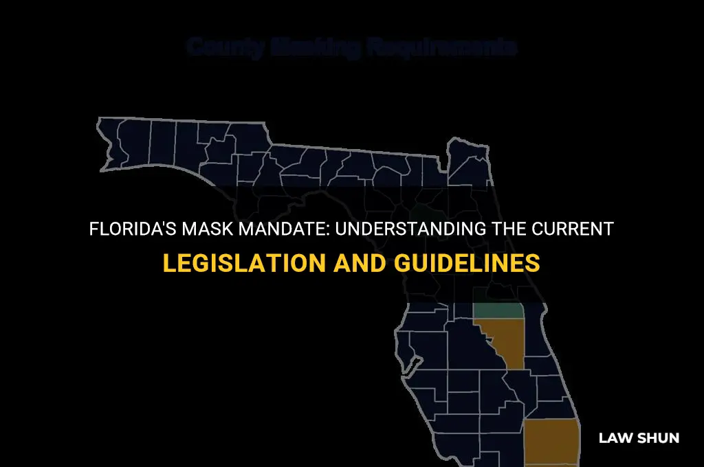 does fl have a mask law