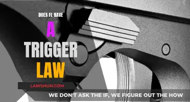 Understanding Florida's Trigger Law: A Comprehensive Guide
