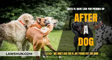 Florida's Poop Scoop Law: What Dog Owners Need to Know