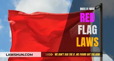 Understanding Florida's Red Flag Laws: A Comprehensive Guide